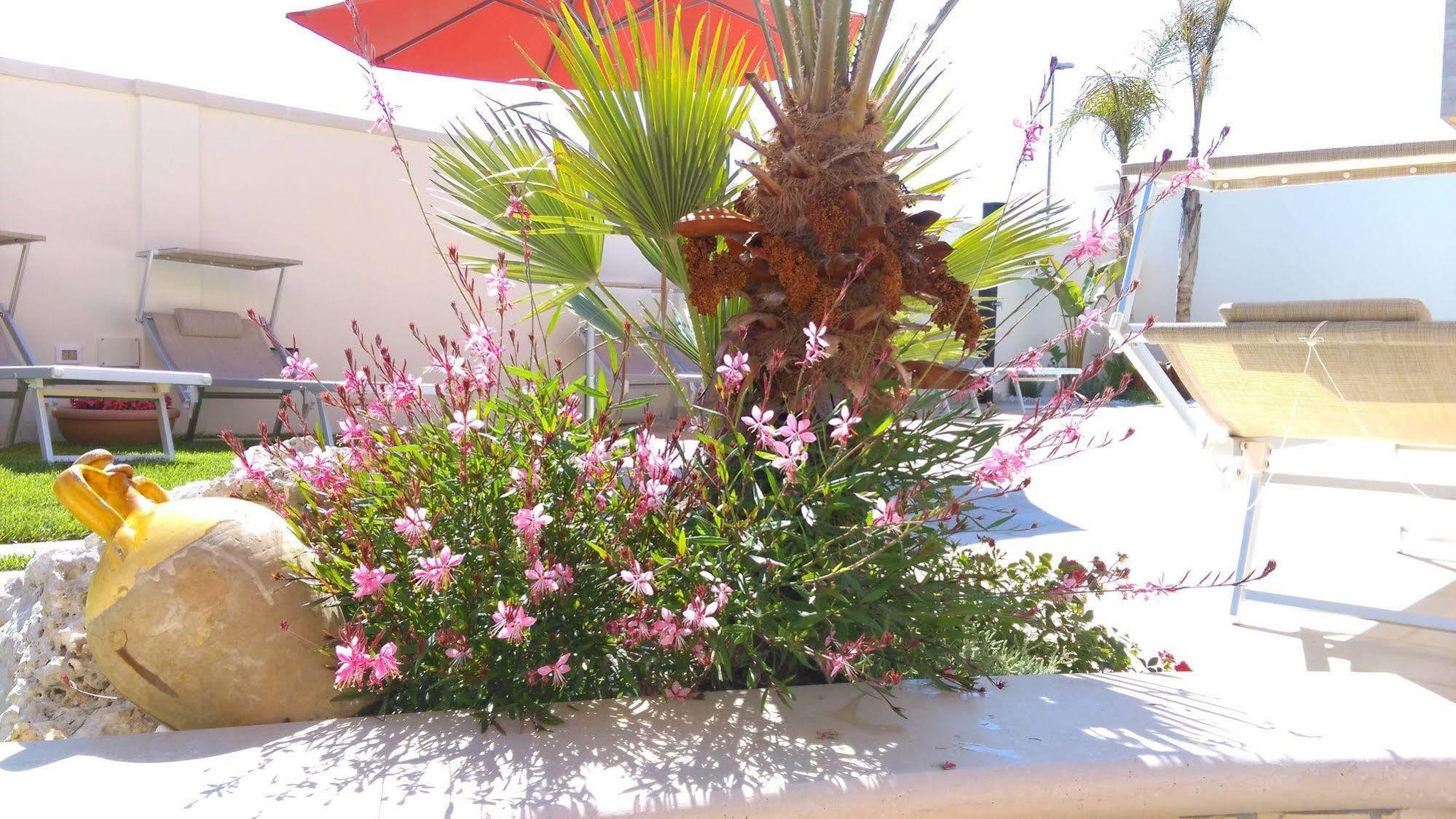 Vignali Residence Diso Dış mekan fotoğraf